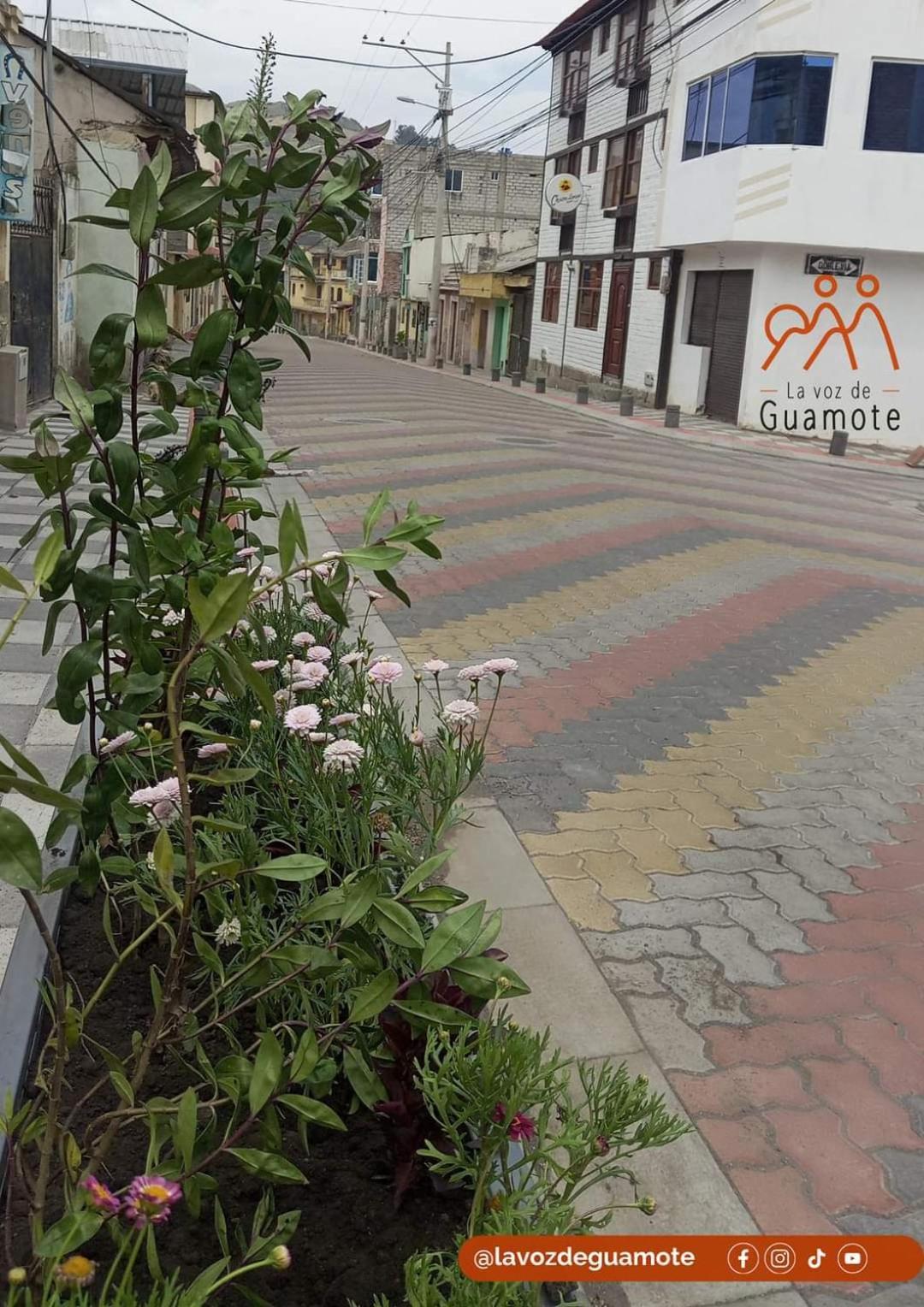 Chuza Longa Home Guamote Dış mekan fotoğraf